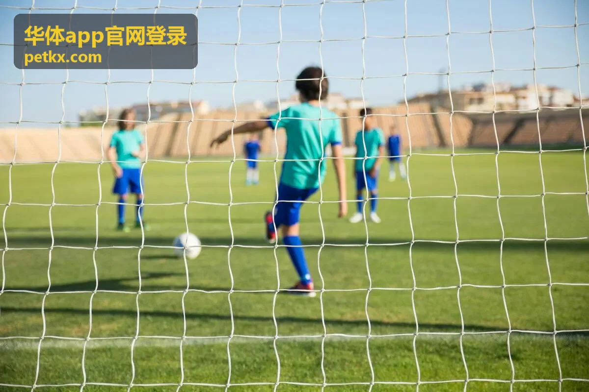 华体app官网登录会员数据面板指标预览