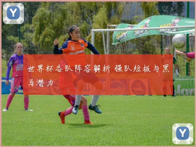 世界杯各队阵容解析 强队短板与黑马潜力
