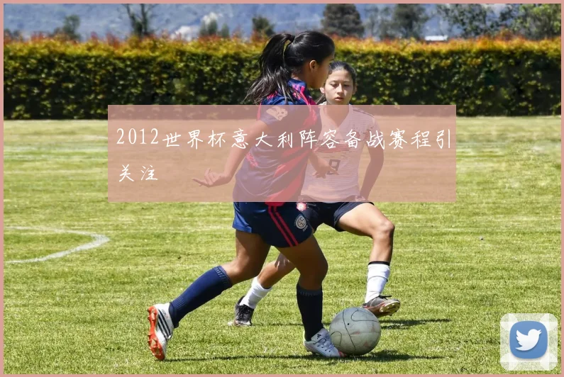 2012世界杯意大利阵容备战赛程引关注
